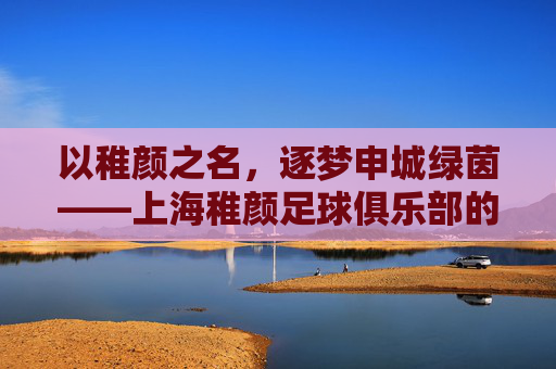 以稚颜之名,逐梦申城绿茵——上海稚颜足球俱乐部的成长故事
