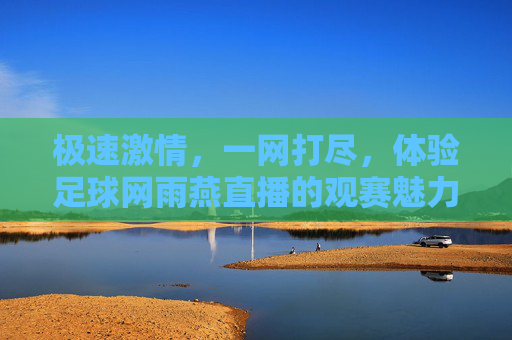 极速激情,一网打尽,体验足球网雨燕直播的观赛魅力