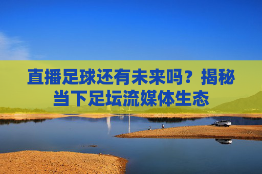 直播足球还有未来吗?揭秘当下足坛流媒体生态