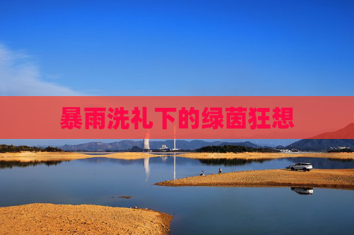 暴雨洗礼下的绿茵狂想