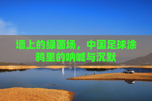 墙上的绿茵场，中国足球涂鸦里的呐喊与沉默
