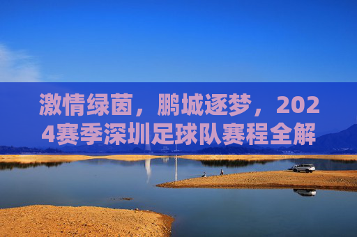 激情绿茵，鹏城逐梦，2024赛季深圳足球队赛程全解析