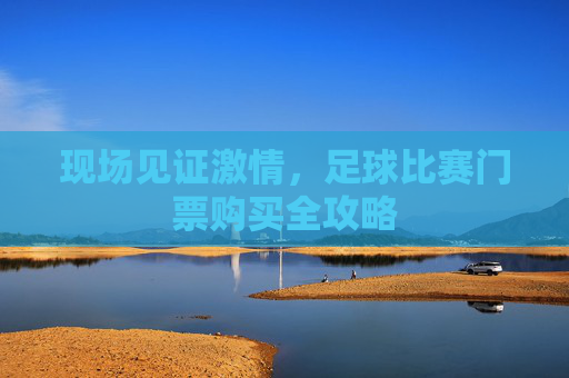 现场见证激情,足球比赛门票购买全攻略