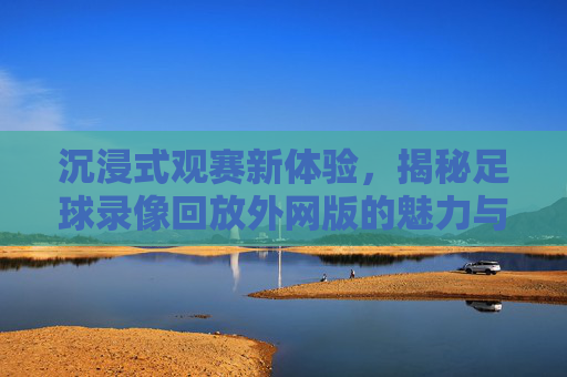 沉浸式观赛新体验,揭秘足球录像回放外网版的魅力与获取方式