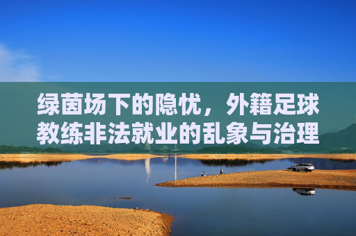 绿茵场下的隐忧,外籍足球教练非法就业的乱象与治理