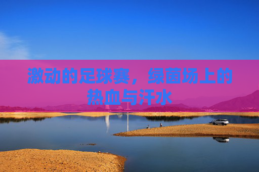 激动的足球赛,绿茵场上的热血与汗水