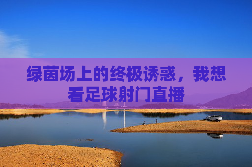 绿茵场上的终极诱惑,我想看足球射门直播