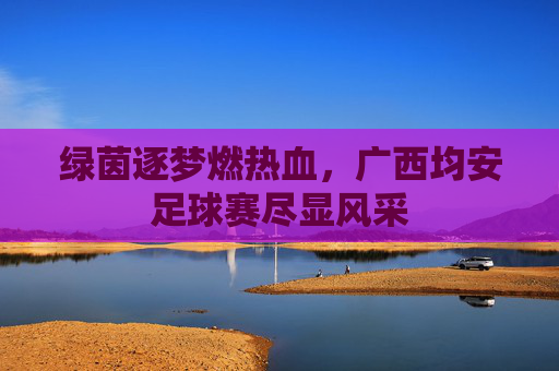 绿茵逐梦燃热血,广西均安足球赛尽显风采