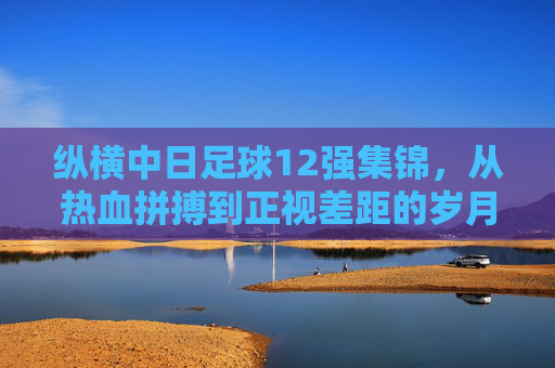 纵横中日足球12强集锦,从热血拼搏到正视差距的岁月长卷