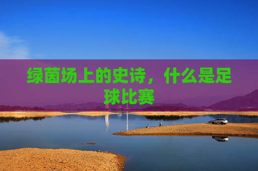 绿茵场上的史诗,什么是足球比赛