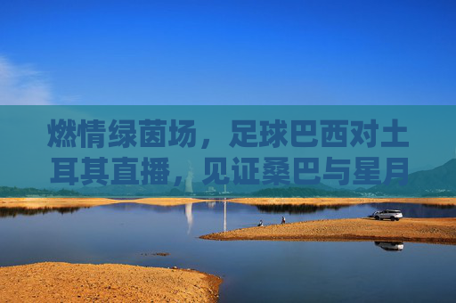 燃情绿茵场,足球巴西对土耳其直播,见证桑巴与星月的激情碰撞