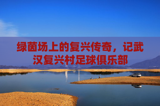 绿茵场上的复兴传奇,记武汉复兴村足球俱乐部