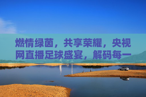 燃情绿茵,共享荣耀,央视网直播足球盛宴,解码每一场巅峰对决