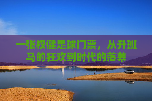 一张权健足球门票,从升班马的狂欢到时代的落幕