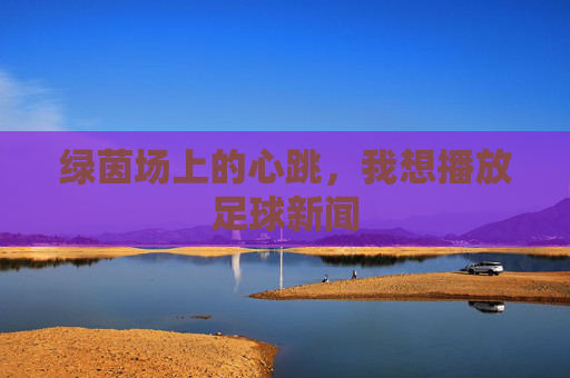 绿茵场上的心跳,我想播放足球新闻