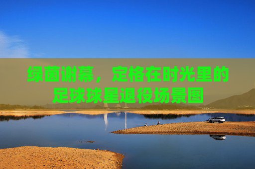 绿茵谢幕,定格在时光里的足球球星退役场景图