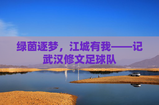 绿茵逐梦,江城有我——记武汉修文足球队