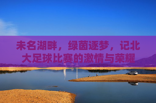 未名湖畔,绿茵逐梦,记北大足球比赛的激情与荣耀