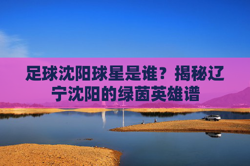 足球沈阳球星是谁?揭秘辽宁沈阳的绿茵英雄谱