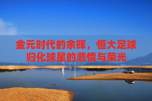 金元时代的余晖,恒大足球归化球星的悲情与荣光