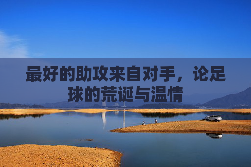 最好的助攻来自对手,论足球的荒诞与温情