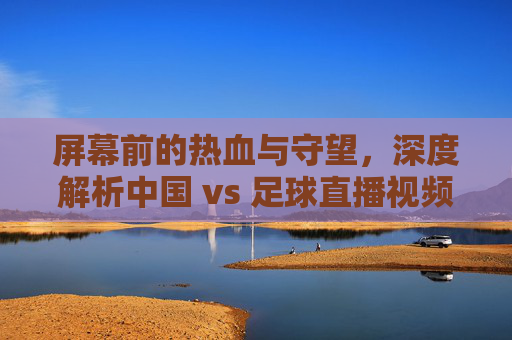 屏幕前的热血与守望,深度解析中国 vs 足球直播视频中的激情与遗憾