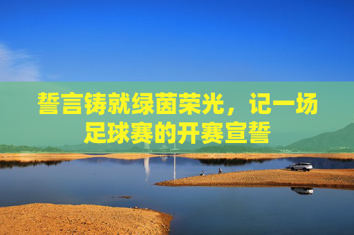 誓言铸就绿茵荣光,记一场足球赛的开赛宣誓