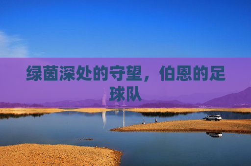 绿茵深处的守望,伯恩的足球队