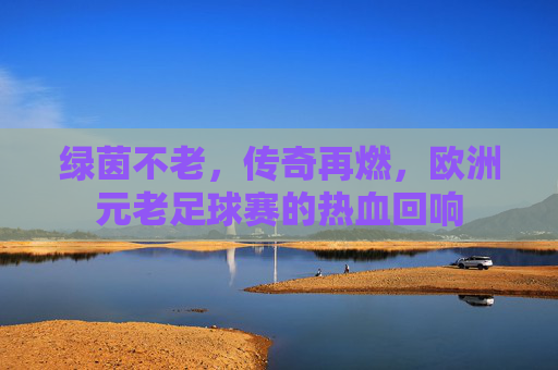 绿茵不老,传奇再燃,欧洲元老足球赛的热血回响