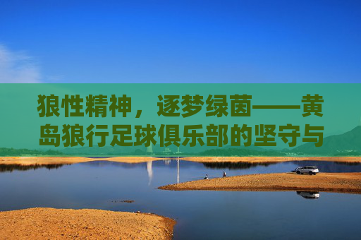 狼性精神，逐梦绿茵——黄岛狼行足球俱乐部的坚守与热爱
