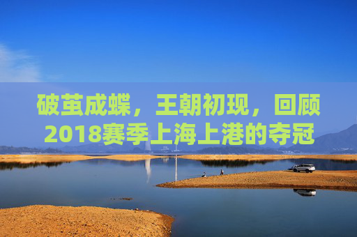 破茧成蝶,王朝初现,回顾2018赛季上海上港的夺冠征程