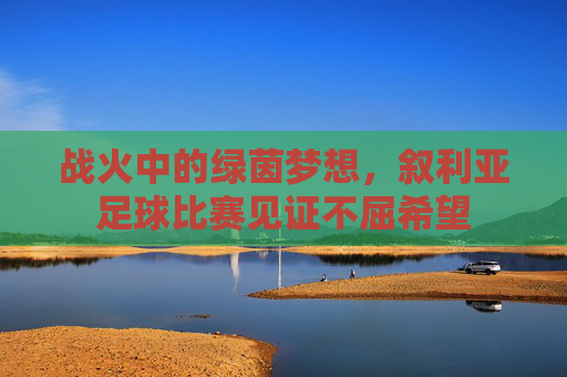 战火中的绿茵梦想,叙利亚足球比赛见证不屈希望