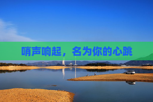 哨声响起,名为你的心跳