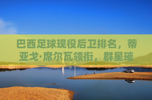巴西足球现役后卫排名,蒂亚戈·席尔瓦领衔,群星璀璨的防线