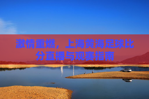 激情重燃,上海黄海足球比分直播与观赛指南