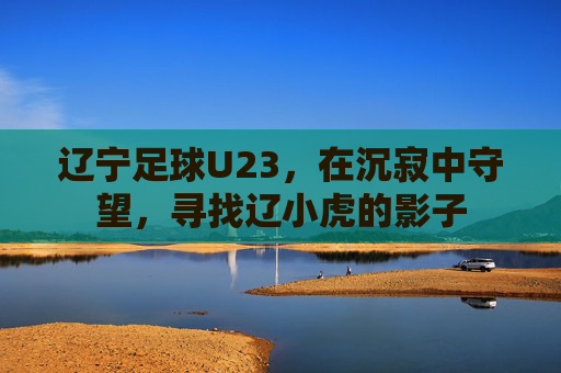 辽宁足球U23,在沉寂中守望,寻找辽小虎的影子