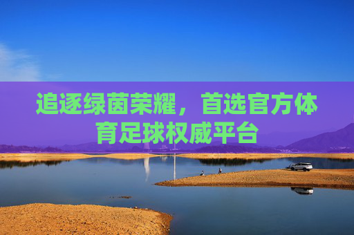 追逐绿茵荣耀,首选官方体育足球权威平台