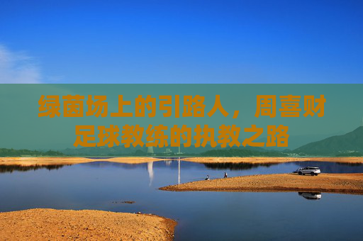绿茵场上的引路人,周喜财足球教练的执教之路