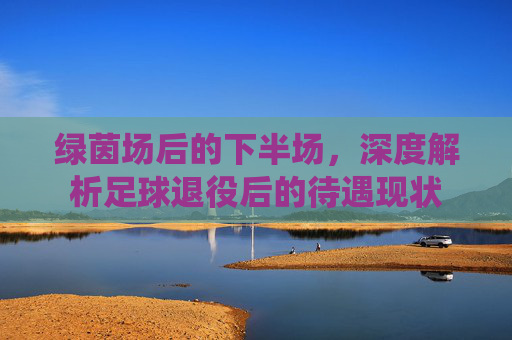 绿茵场后的下半场,深度解析足球退役后的待遇现状