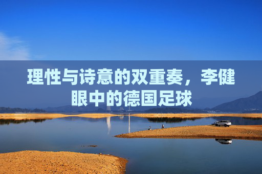 理性与诗意的双重奏,李健眼中的德国足球