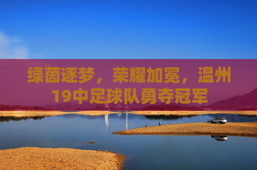 绿茵逐梦，荣耀加冕，温州19中足球队勇夺冠军