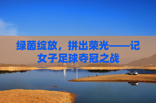 绿茵绽放，拼出荣光——记女子足球夺冠之战