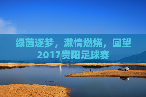 绿茵逐梦,激情燃烧,回望2017贵阳足球赛