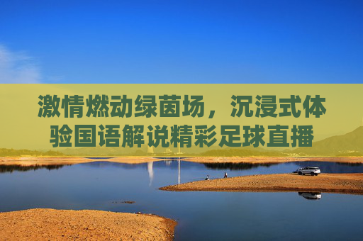激情燃动绿茵场,沉浸式体验国语解说精彩足球直播