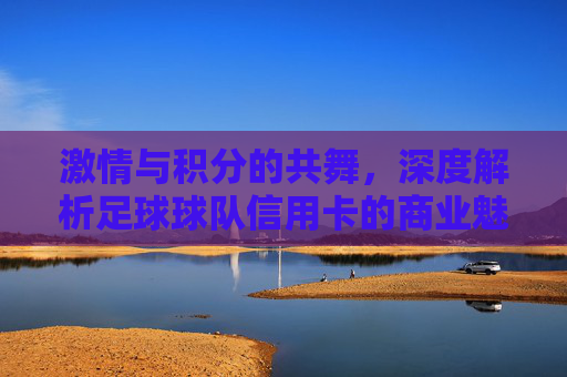 激情与积分的共舞，深度解析足球球队信用卡的商业魅力