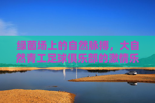 绿茵场上的自然脉搏，大自然青工足球俱乐部的激情乐章