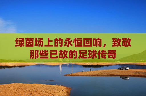 绿茵场上的永恒回响,致敬那些已故的足球传奇