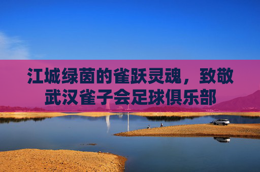 江城绿茵的雀跃灵魂，致敬武汉雀子会足球俱乐部