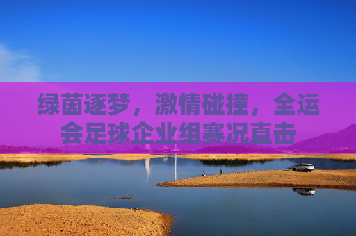绿茵逐梦,激情碰撞,全运会足球企业组赛况直击