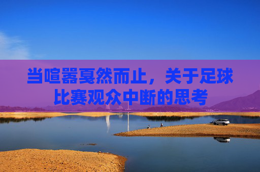 当喧嚣戛然而止，关于足球比赛观众中断的思考